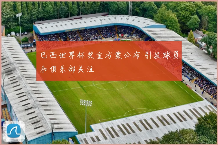 巴西世界杯奖金方案公布 引发球员和俱乐部关注